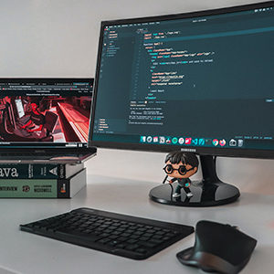 Game Designer